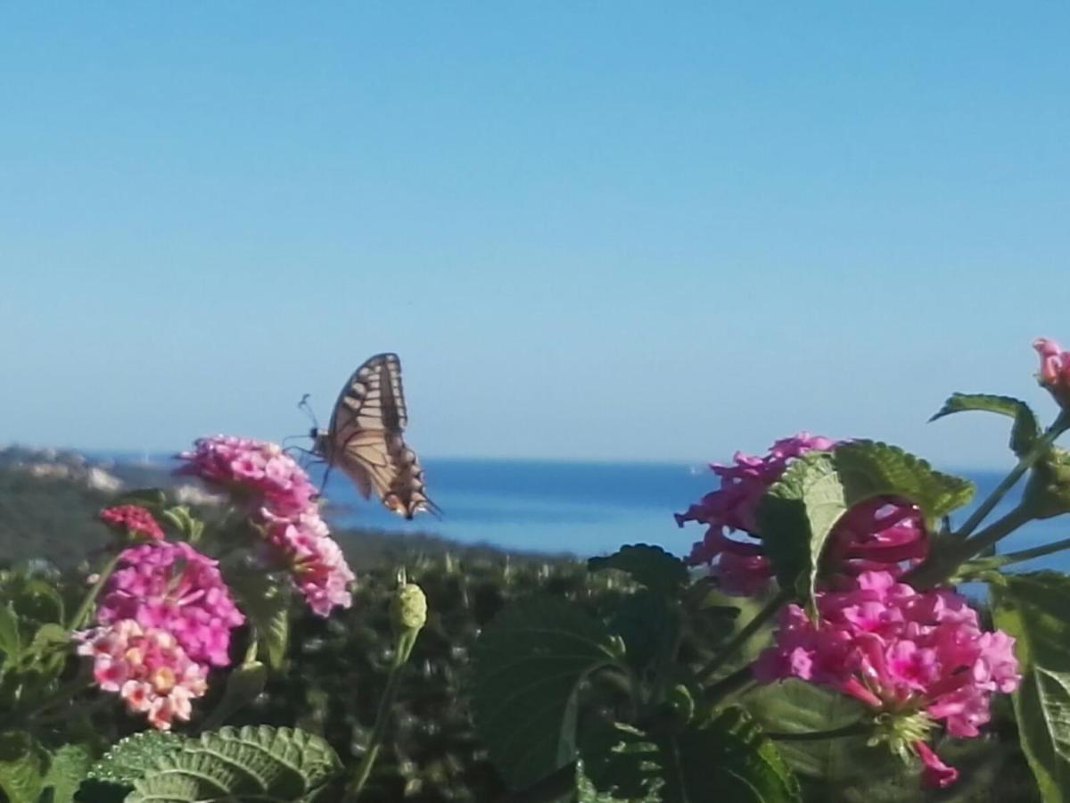 Colle Selvotta Bed and Breakfast Vasto Εξωτερικό φωτογραφία