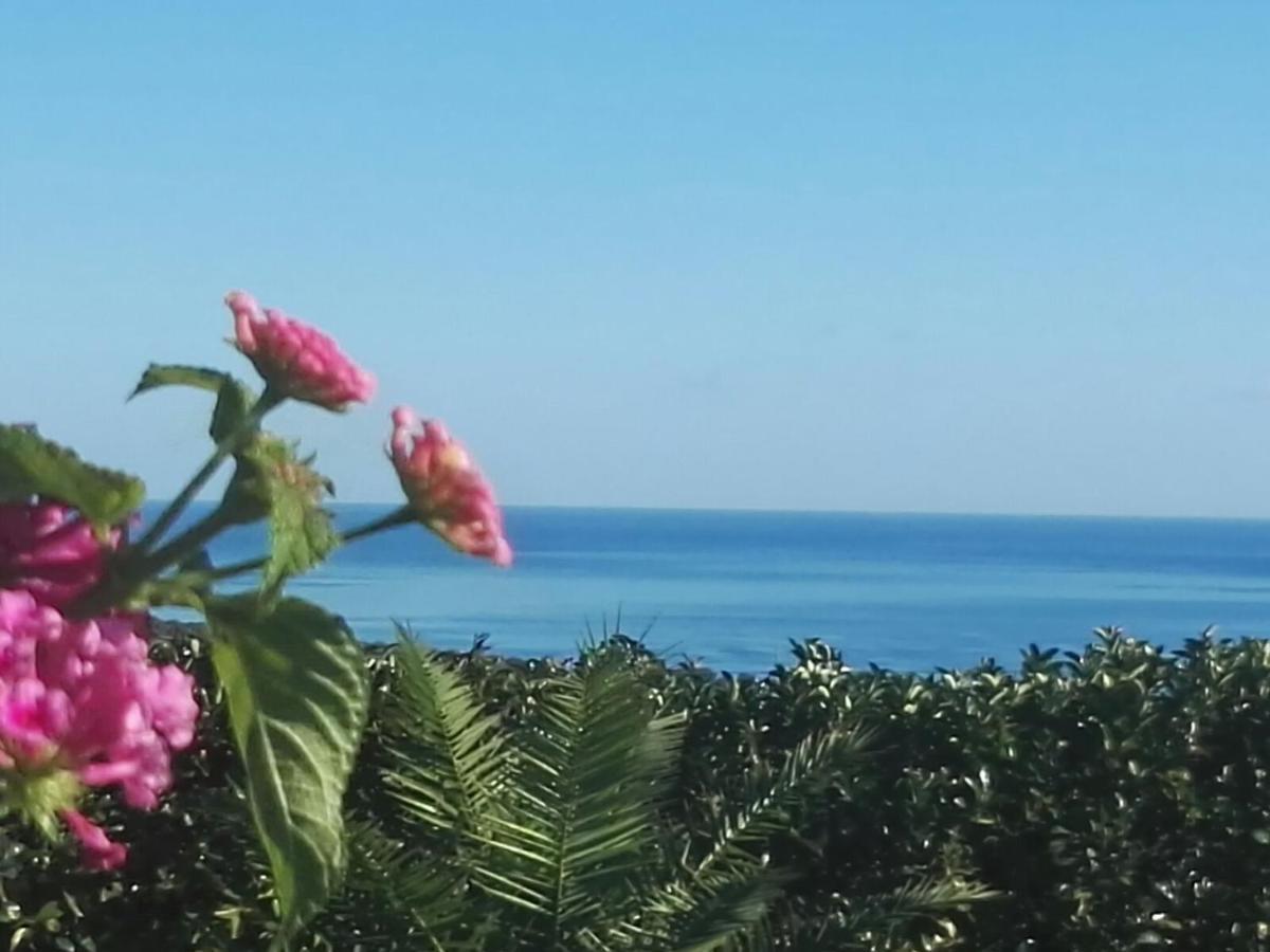 Colle Selvotta Bed and Breakfast Vasto Εξωτερικό φωτογραφία